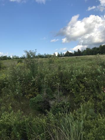 M1978 L92h Route 9 Crawford ME 04694