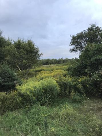 M1978 L92h Route 9 Crawford ME 04694