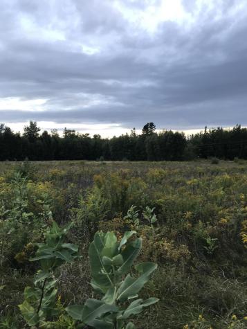 M1978 L92h Route 9 Crawford ME 04694