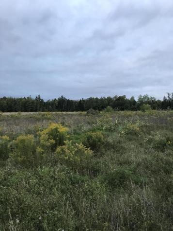 M1978 L92h Route 9 Crawford ME 04694