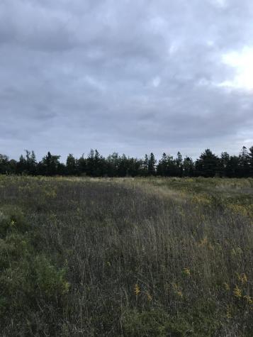 M1978 L92h Route 9 Crawford ME 04694