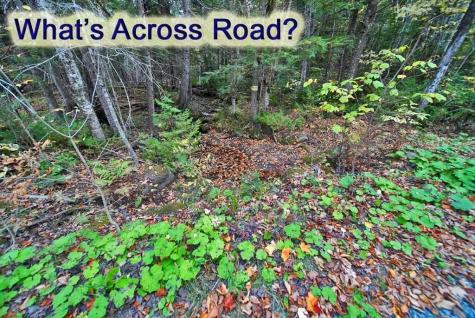 Lot 12 Winter Road Linneus ME 04730