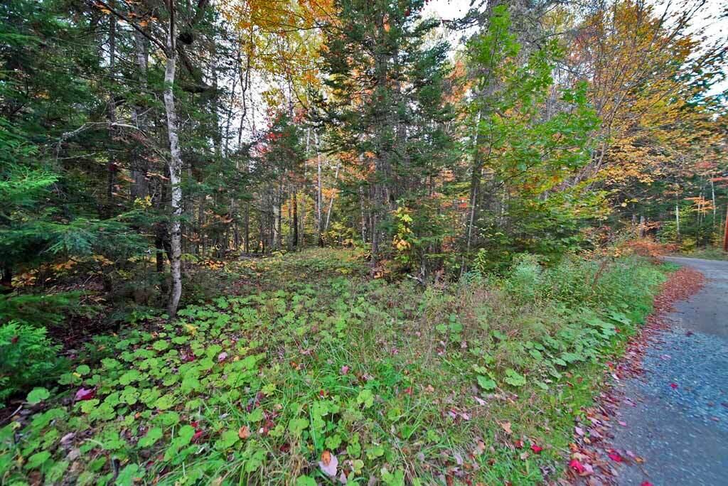 Lot 12 Winter Road Linneus ME 04730