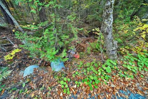 Lot 12 Winter Road Linneus ME 04730