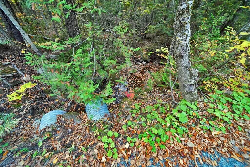 Lot 12 Winter Road Linneus ME 04730