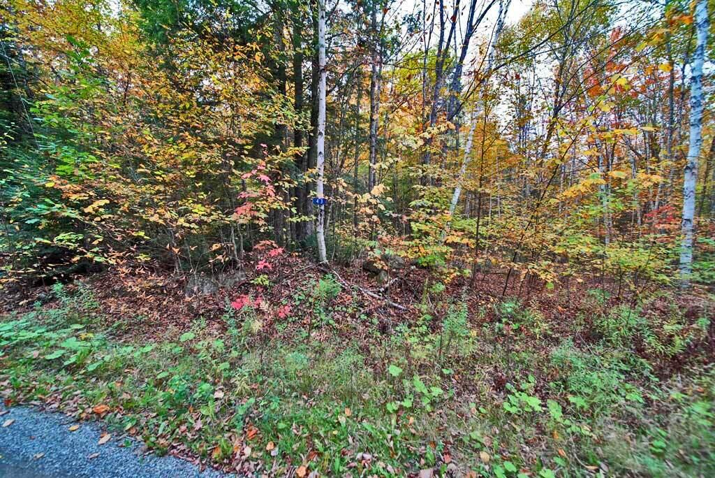 Lot 12 Winter Road Linneus ME 04730