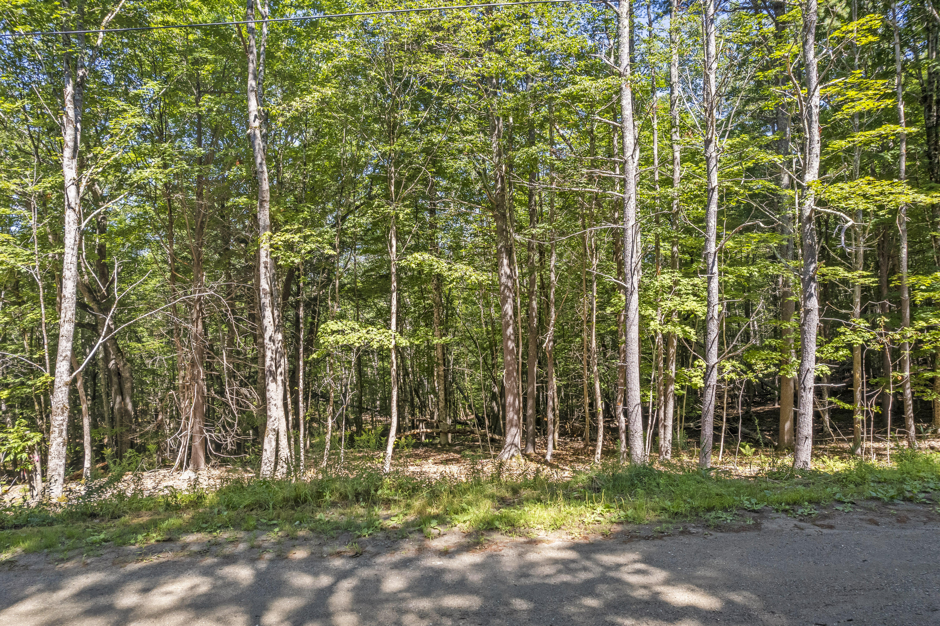 Lot 20a-4 Briarwood Lane Newcastle ME 04553