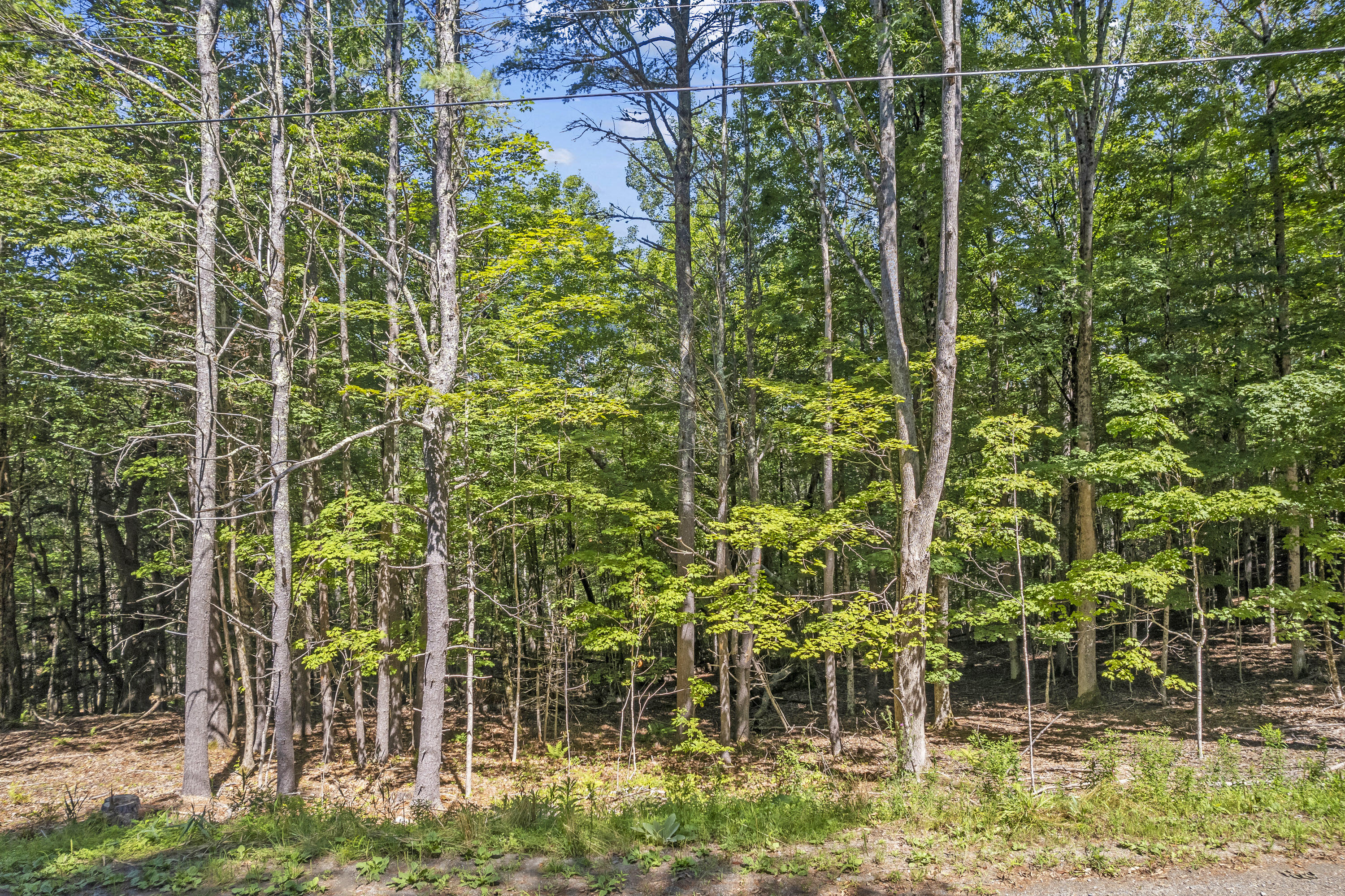 Lot 20a-4 Briarwood Lane Newcastle ME 04553