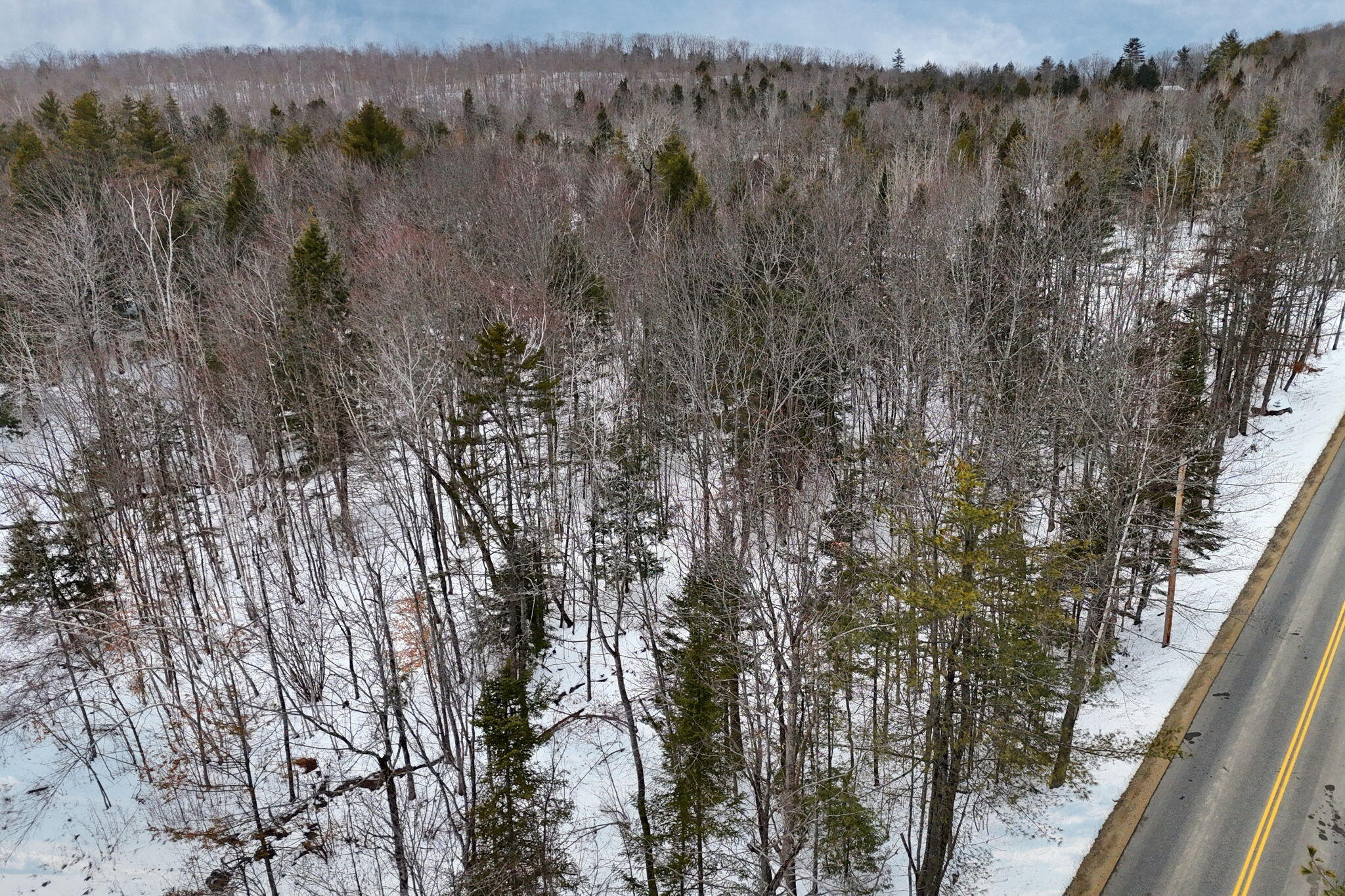 Lot 30 Brighton Hill Road Minot ME 04258
