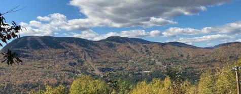 Lot 26 Mount Will Drive Newry ME 04217