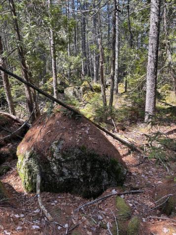 0 Acadia Highway Orland ME 04472