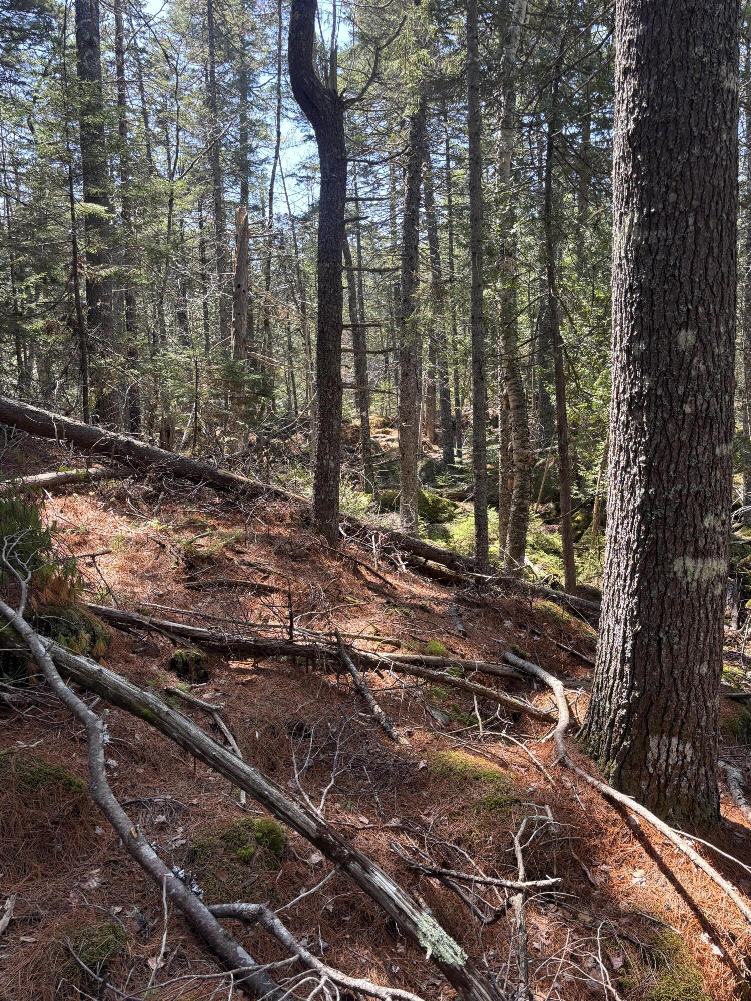 0 Acadia Highway Orland ME 04472