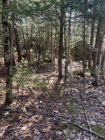 0 Acadia Highway Orland ME 04472