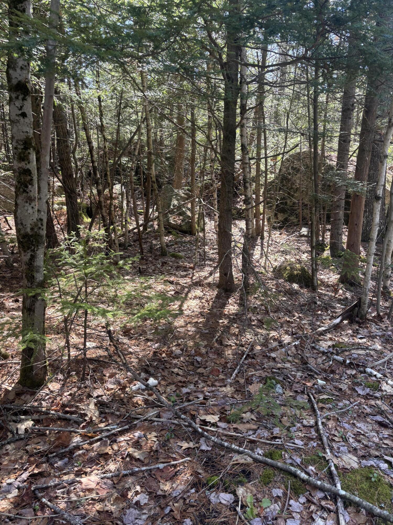 0 Acadia Highway Orland ME 04472