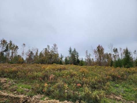 451 Ac Smith Ridge Road Charlotte ME 04666