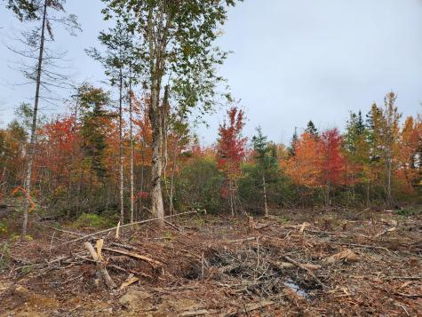 451 Ac Smith Ridge Road Charlotte ME 04666