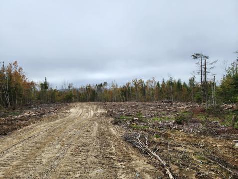 451 Ac Smith Ridge Road Charlotte ME 04666