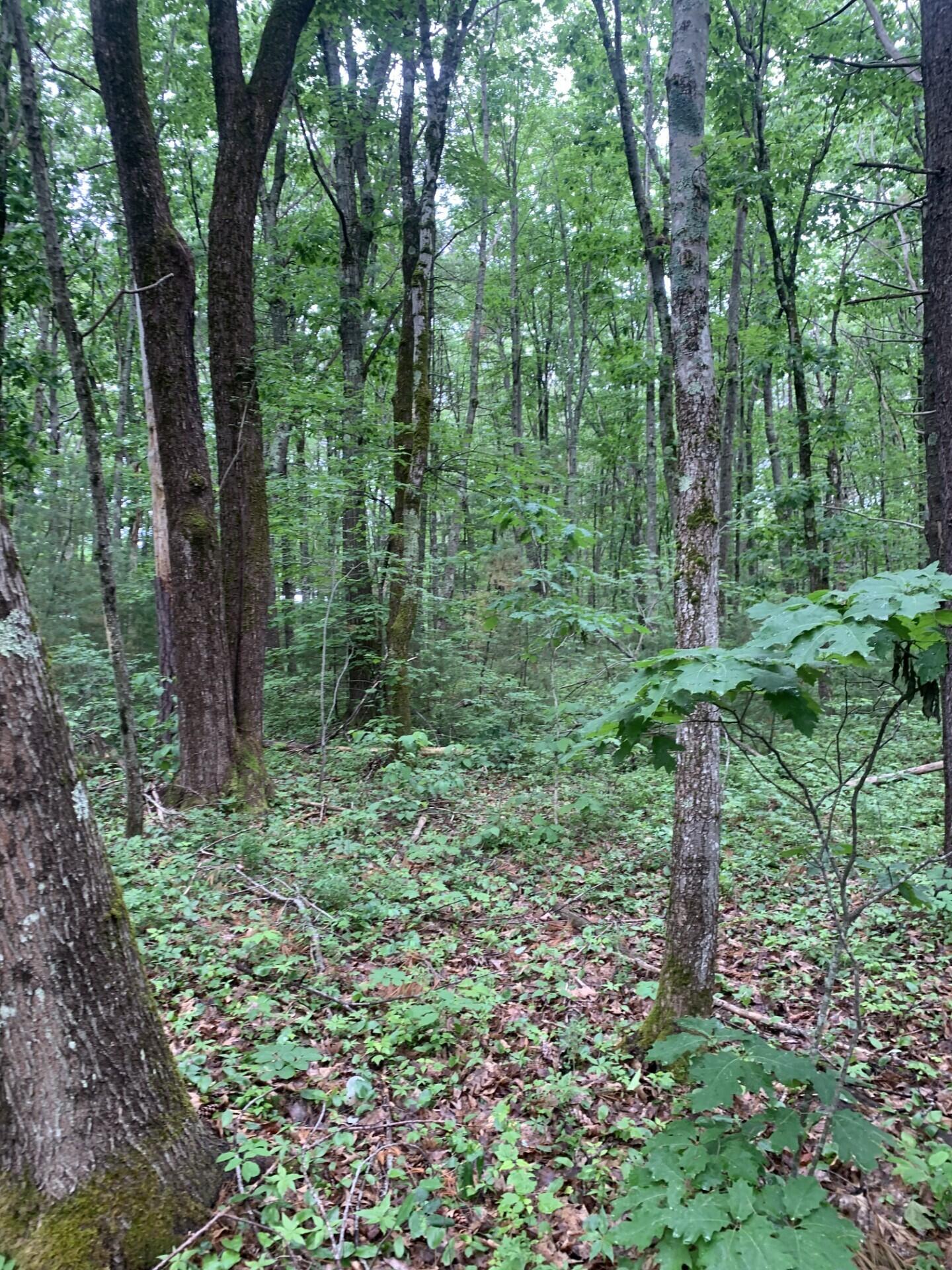 Tbd Alewive Road Kennebunk ME 04043