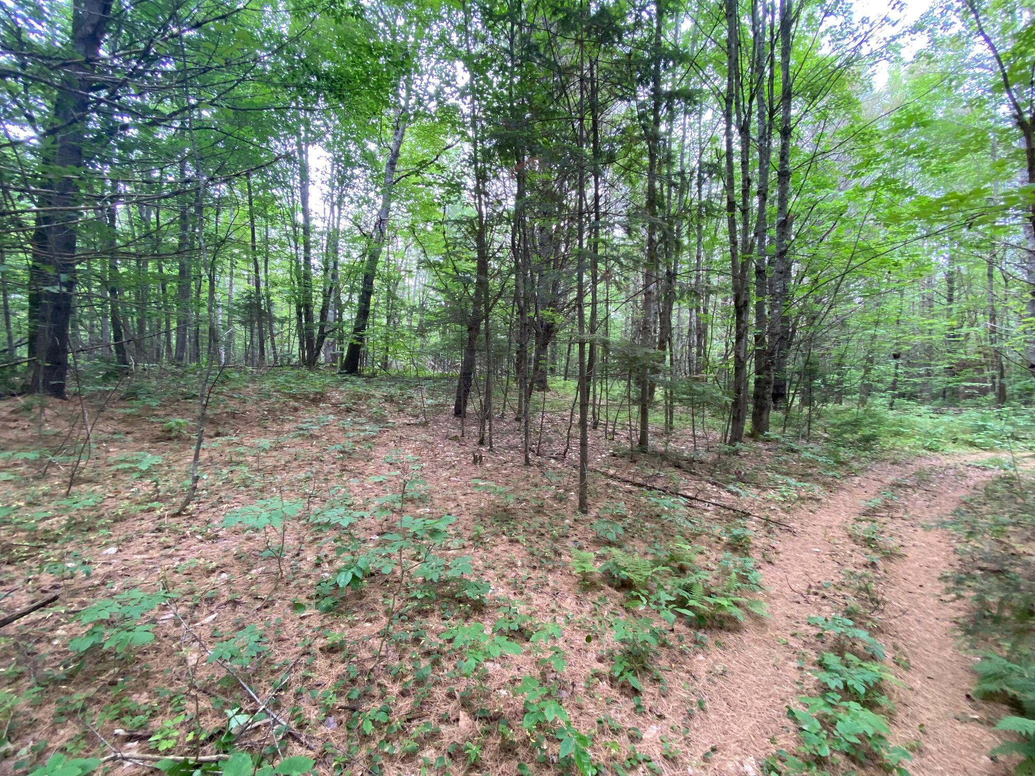 Lot# 17 Guilford Center Road Guilford ME 04443