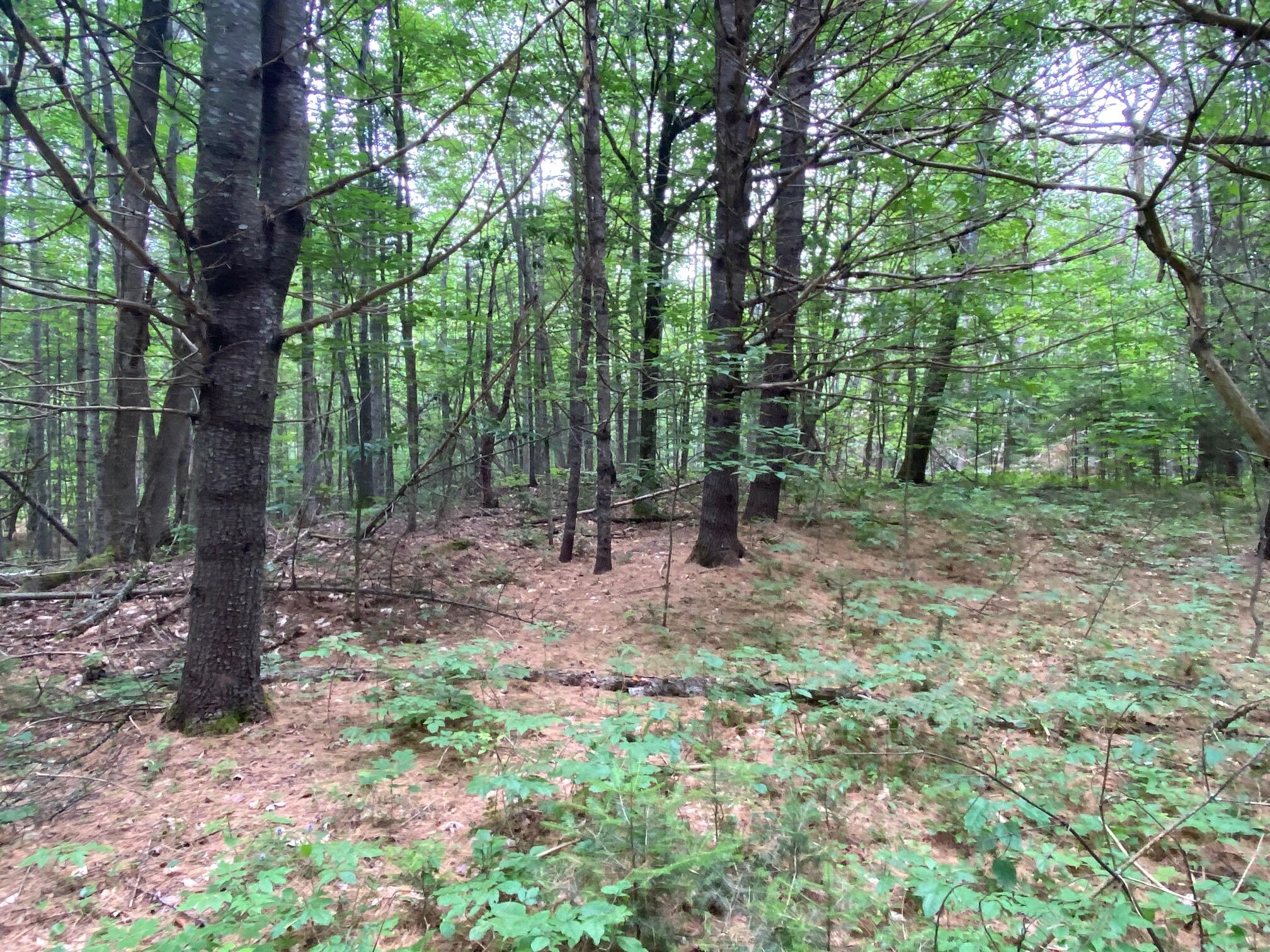 Lot# 17 Guilford Center Road Guilford ME 04443