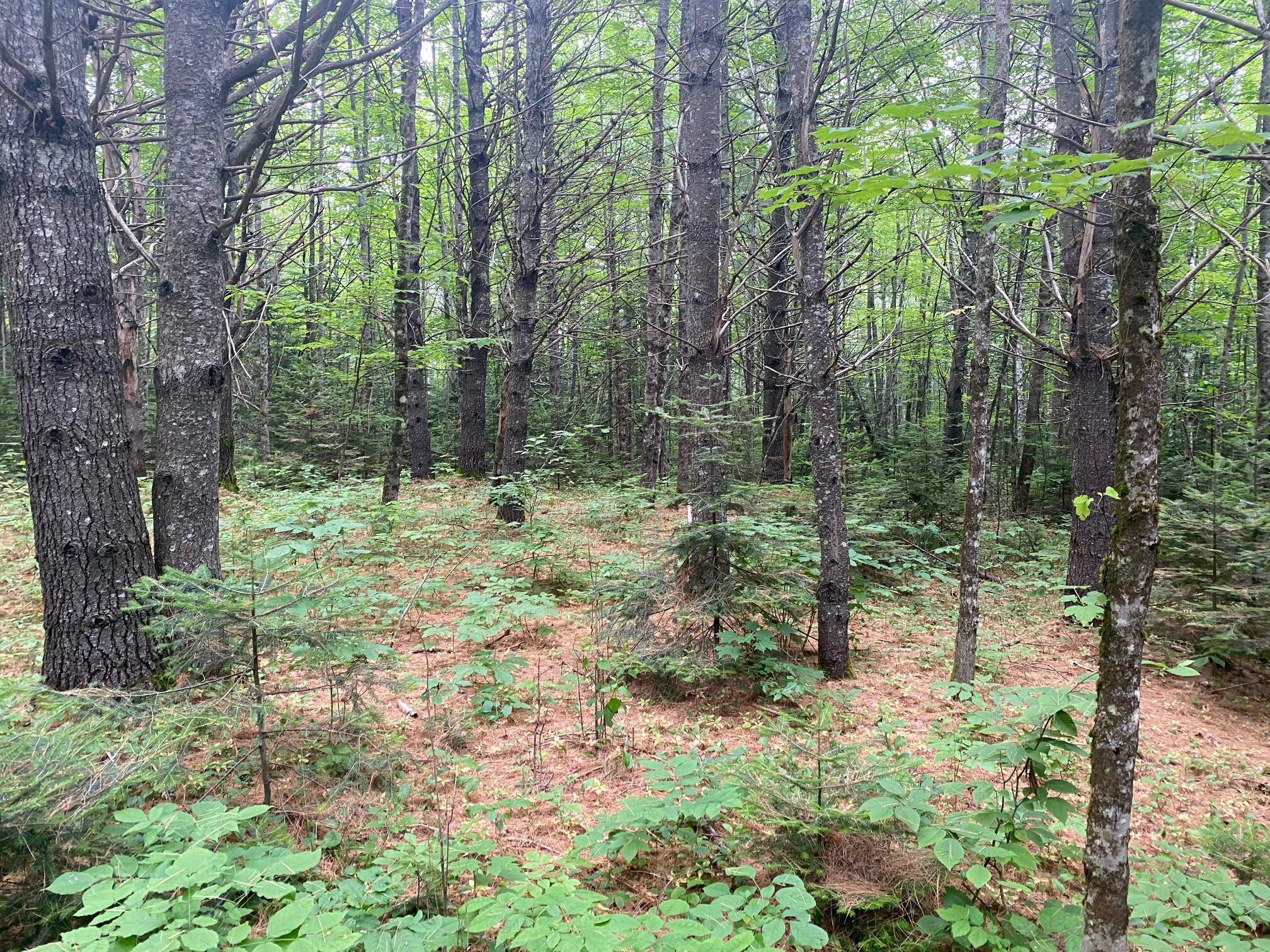 Lot# 17 Guilford Center Road Guilford ME 04443