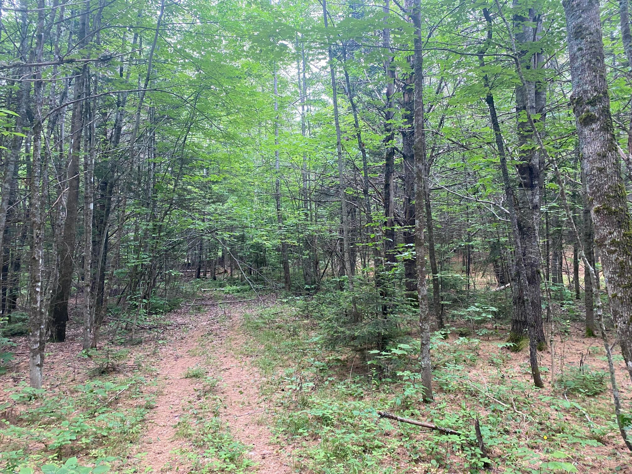 Lot# 17 Guilford Center Road Guilford ME 04443