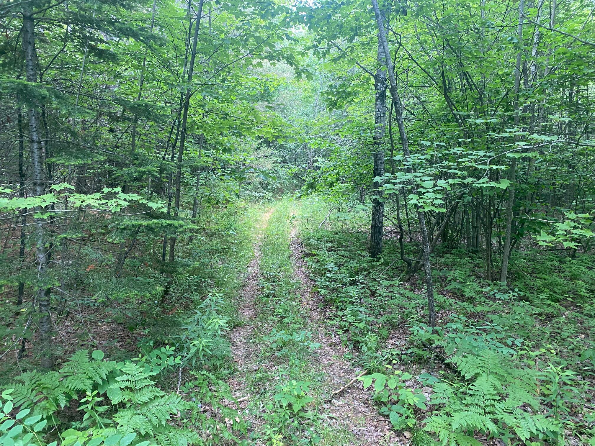 Lot# 17 Guilford Center Road Guilford ME 04443