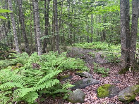 Lot# 17 Guilford Center Road Guilford ME 04443