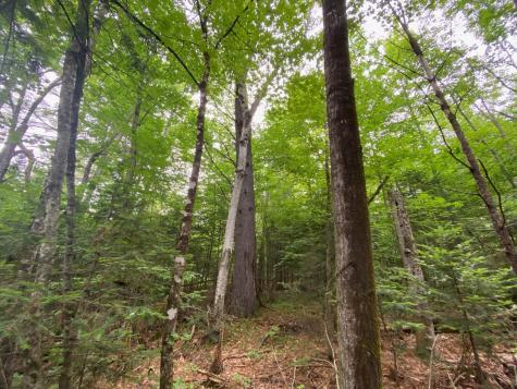 Lot# 17 Guilford Center Road Guilford ME 04443