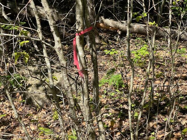 Lot #4 Bonnie Way Winterport ME 04496