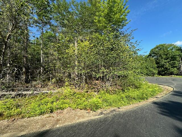 Lot #4 Bonnie Way Winterport ME 04496