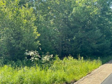 Lot #4 Bonnie Way Winterport ME 04496
