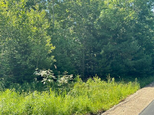 Lot #4 Bonnie Way Winterport ME 04496