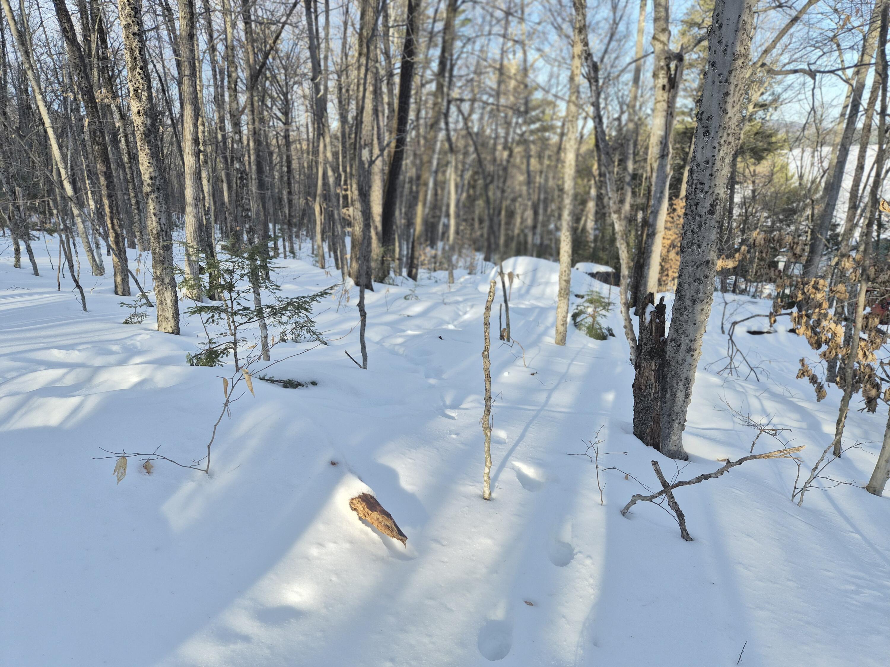 MU1 L9c Bachellers Mill Road Chesterville ME 04938