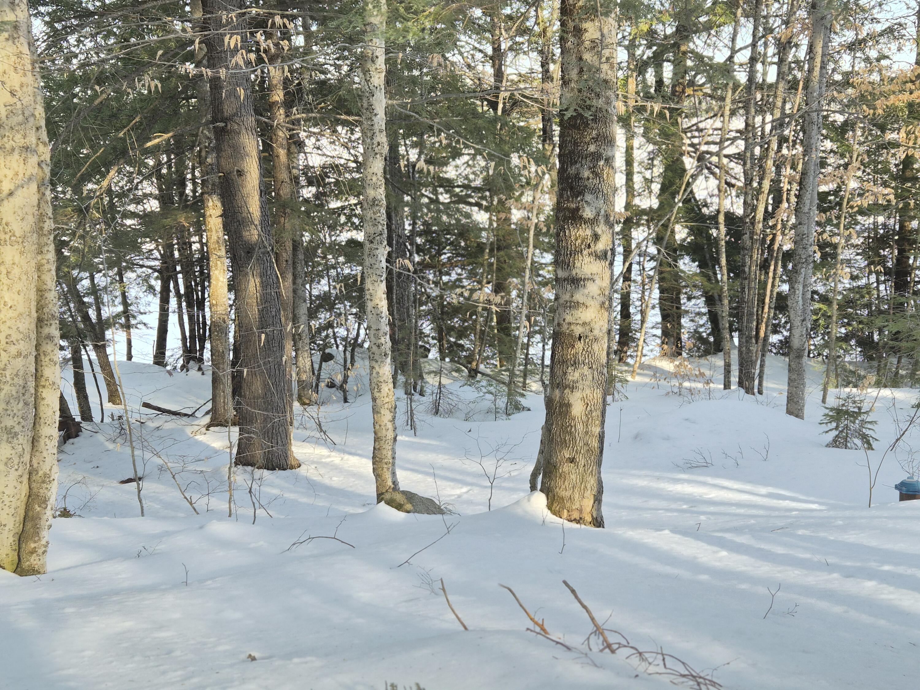 MU1 L9c Bachellers Mill Road Chesterville ME 04938