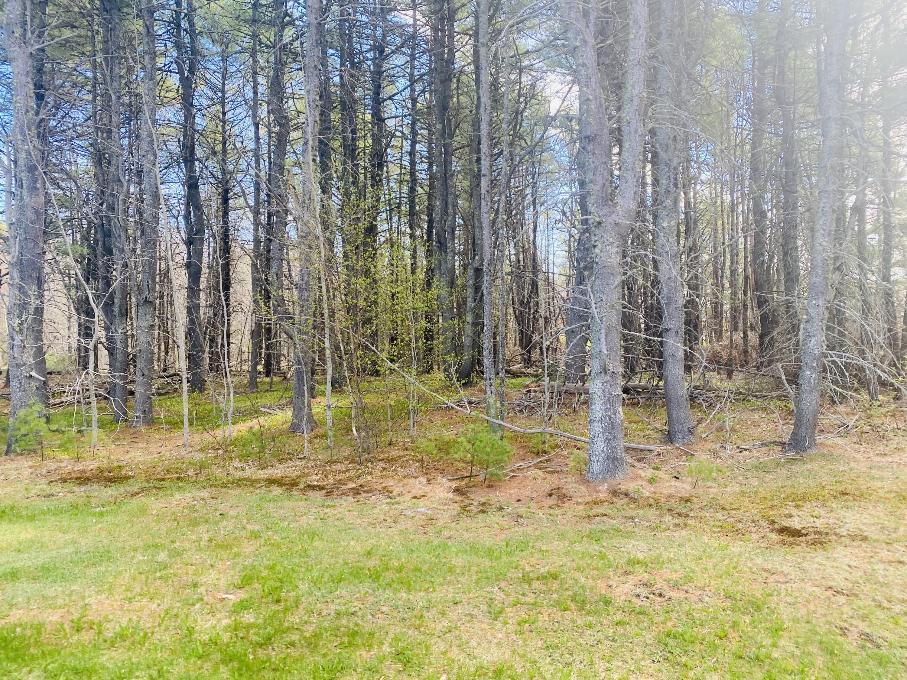 1 (#1) Hornbeam Way Bangor ME 04401