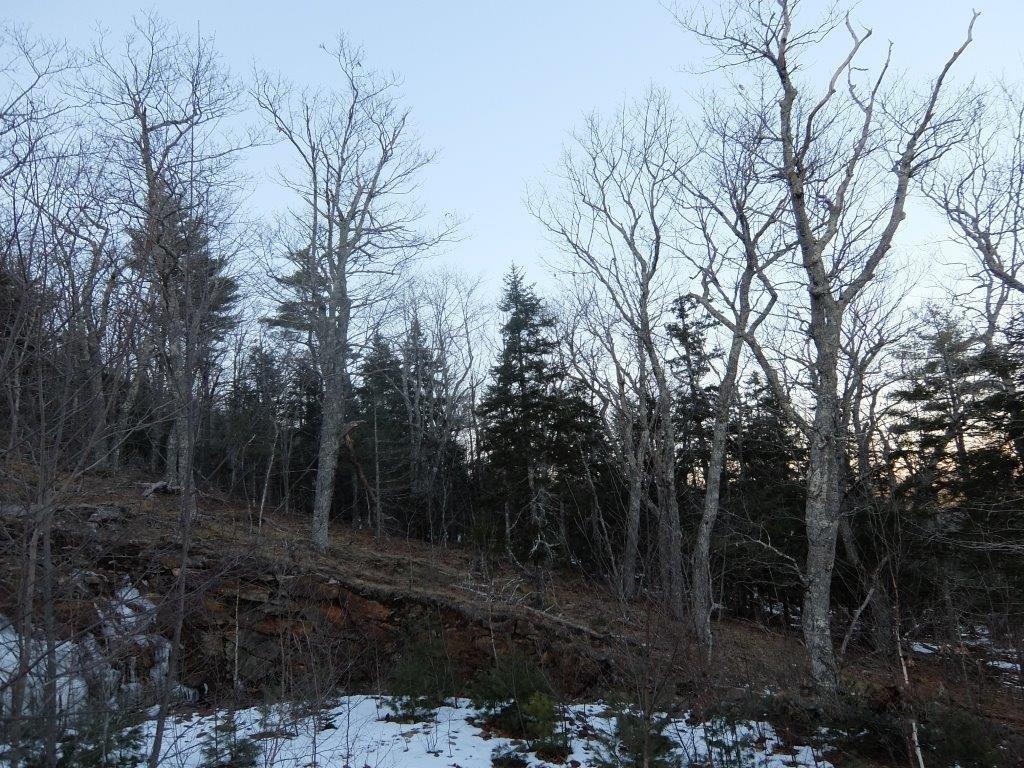 0 Hatchet Mountain Road Hope ME 04847