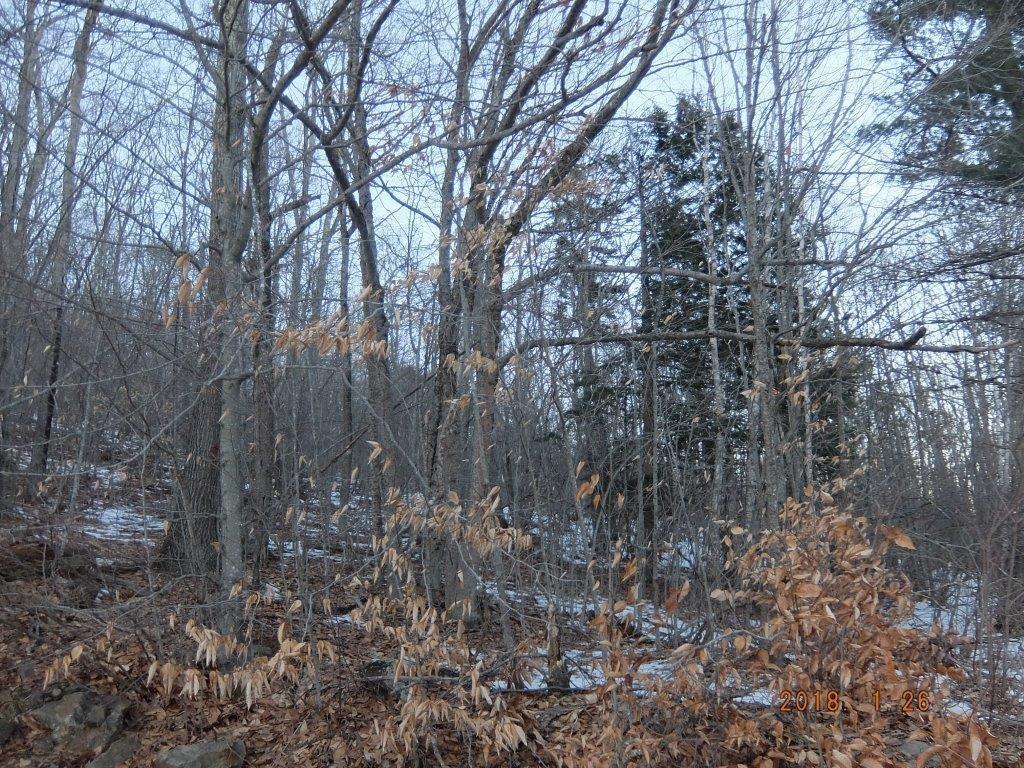 0 Hatchet Mountain Road Hope ME 04847