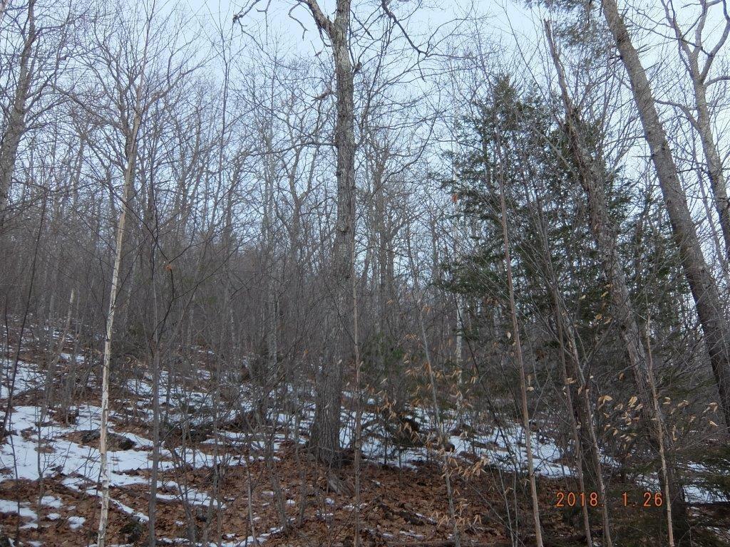 0 Hatchet Mountain Road Hope ME 04847