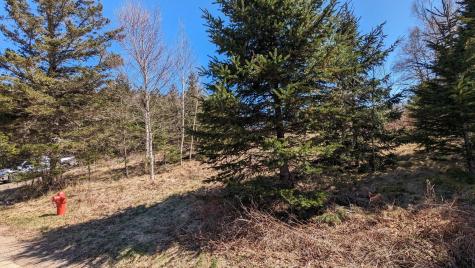 M3 Ba2 L11 Janney Street Eastport ME 04631