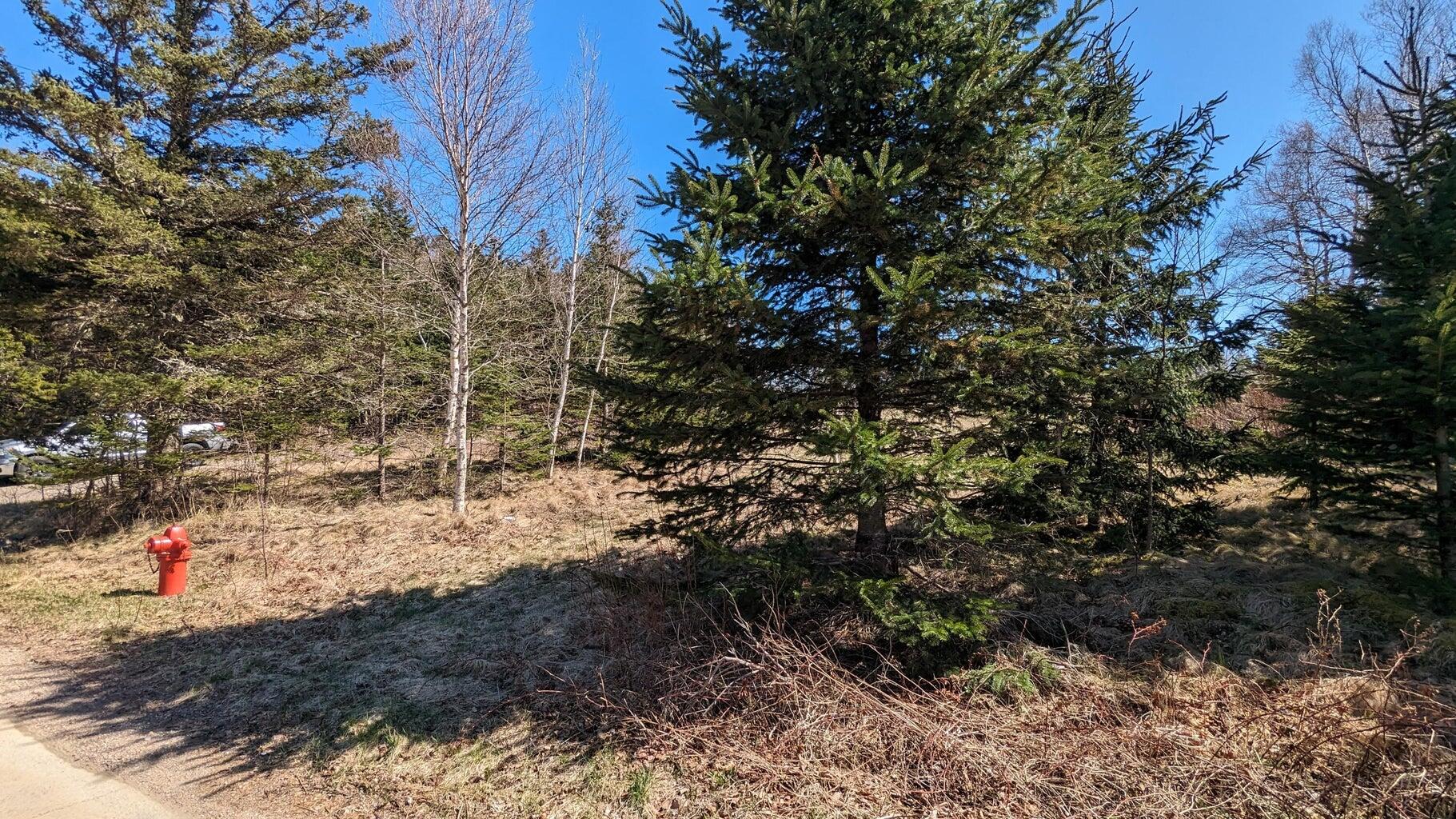 M3 Ba2 L11 Janney Street Eastport ME 04631