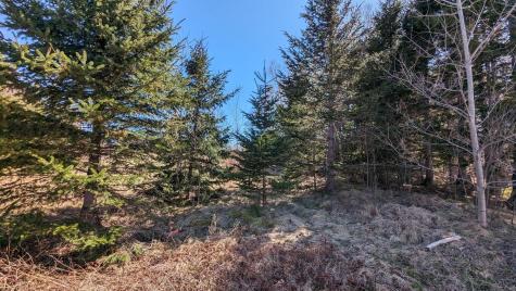 M3 Ba2 L11 Janney Street Eastport ME 04631