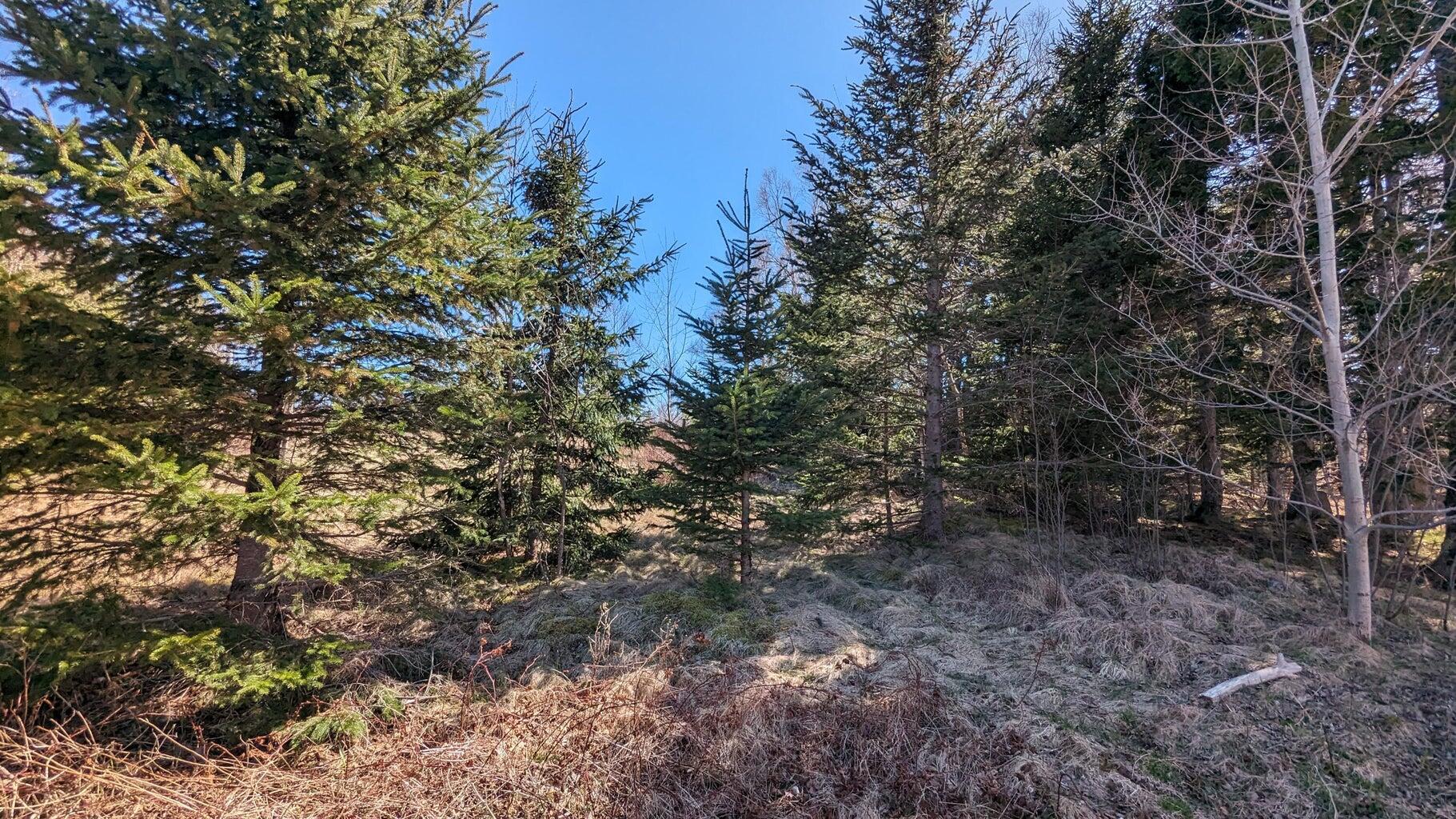 M3 Ba2 L11 Janney Street Eastport ME 04631