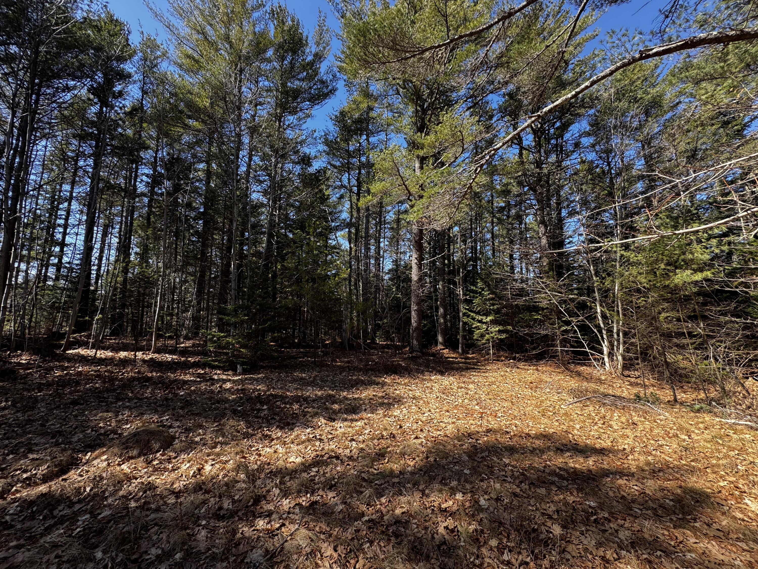 279 Sand Point Road Bar Harbor ME 04609