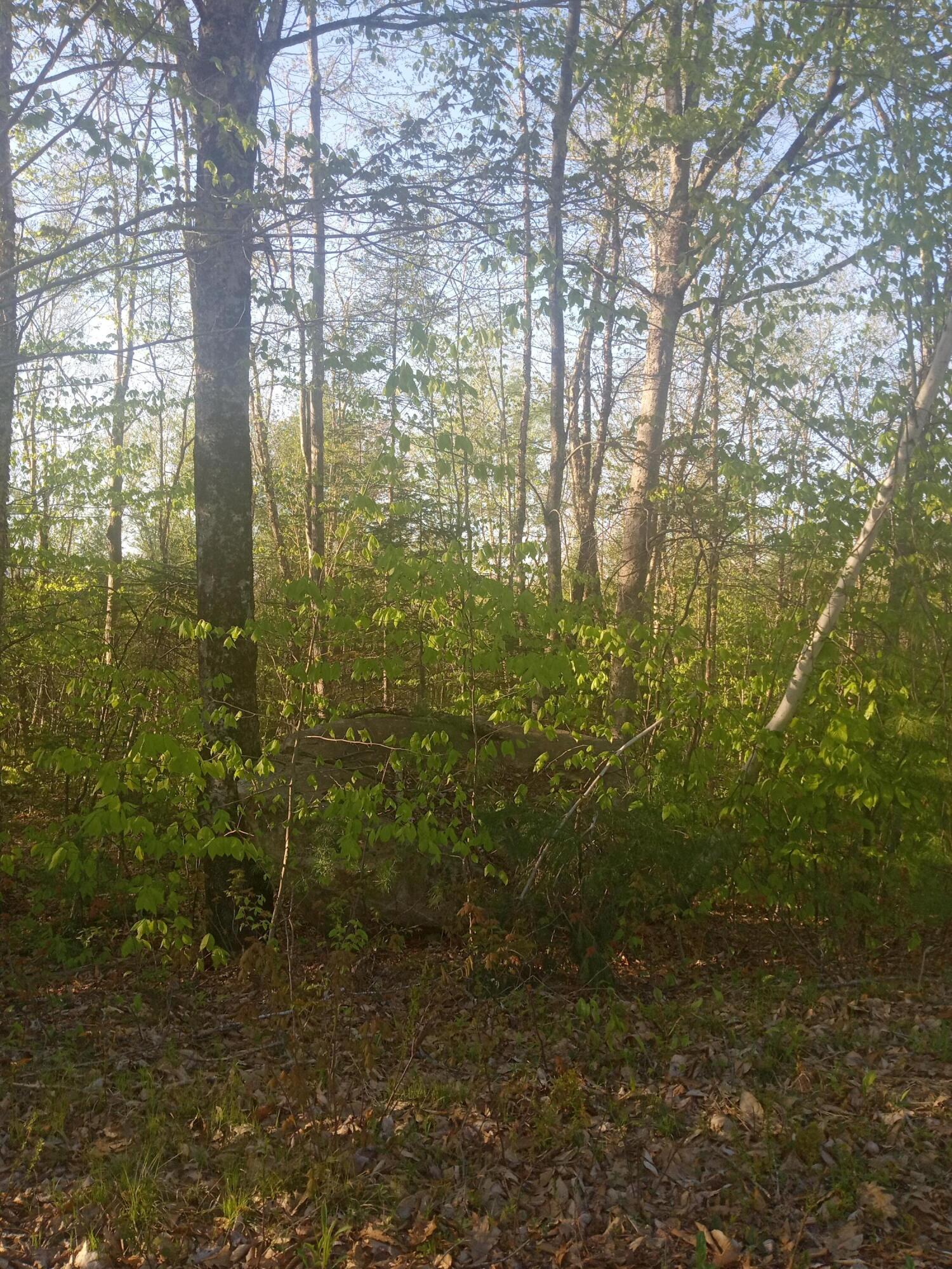 41 Federal Road Fryeburg ME 04037