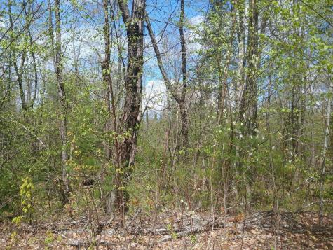 41 Federal Road Fryeburg ME 04037