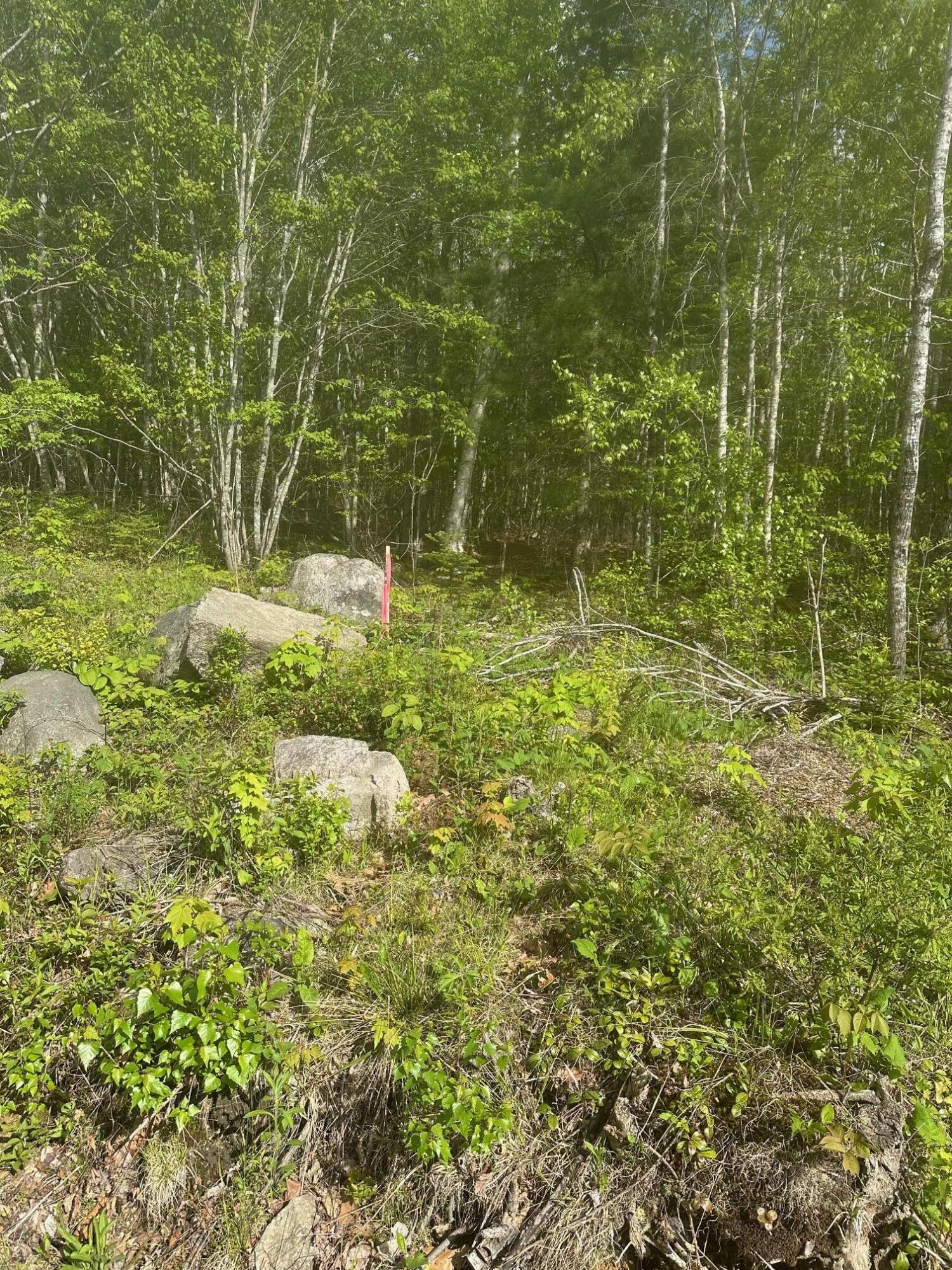 Lot 4 Unionville Road Steuben ME 04680