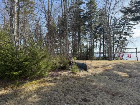 3 E Shore Road Whiting ME 04691