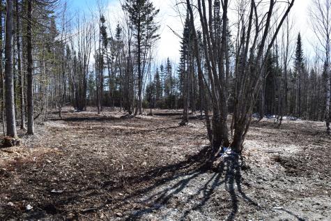 0 Tamarac Road Ellsworth ME 04605