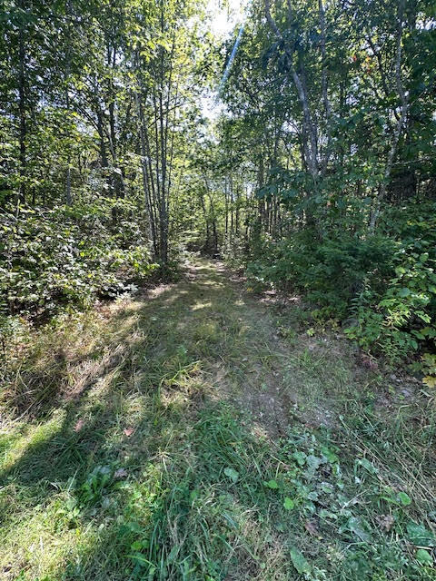 M1L431E-4 Sally Mack Road Frankfort ME 04438
